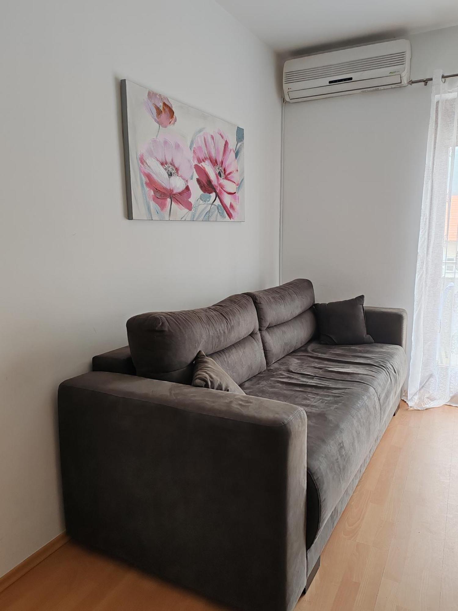 Apartmani Nana Sokobanja Room photo